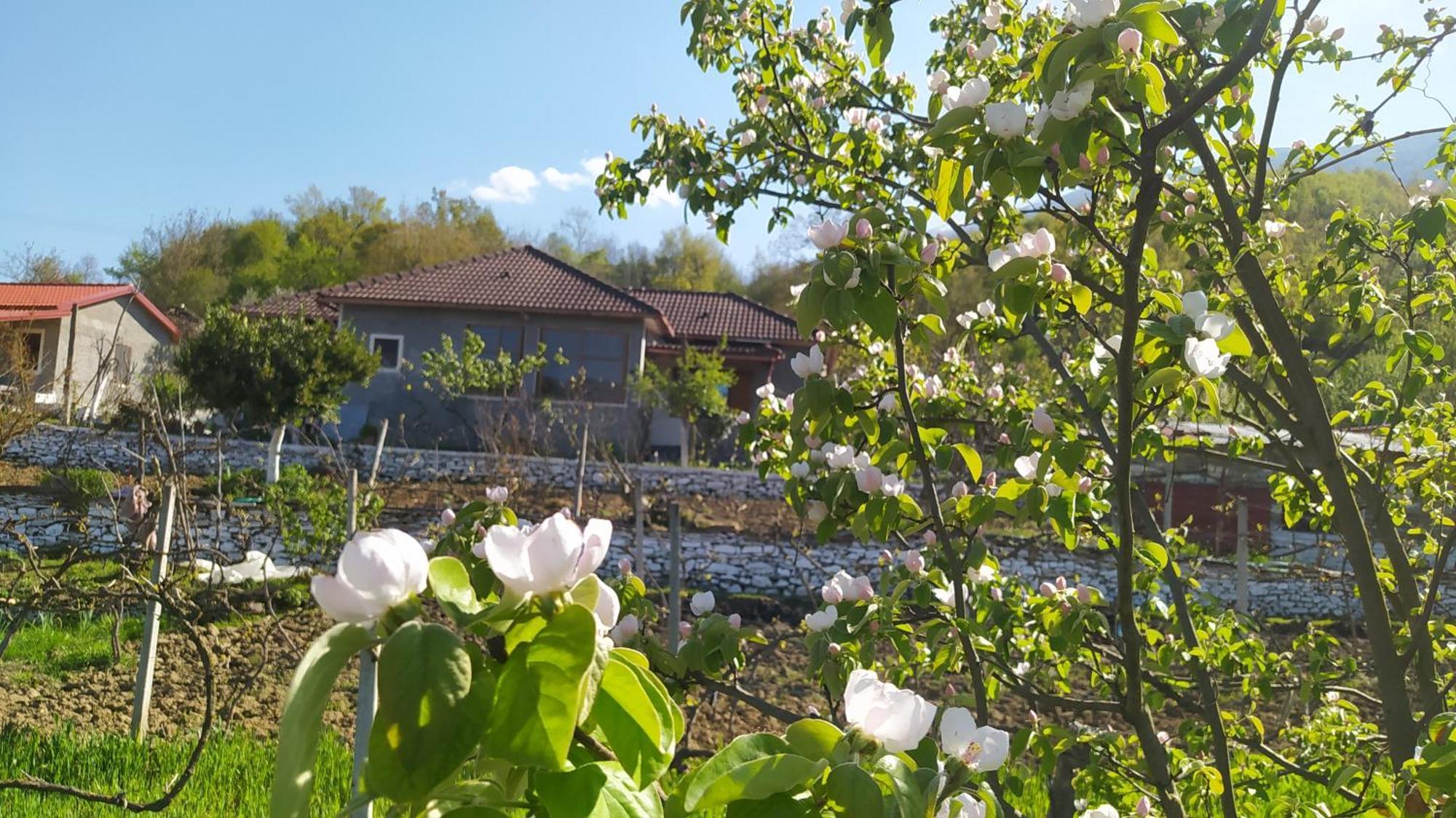 Spring Village Home Përmet Zewnętrze zdjęcie
